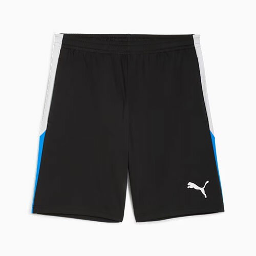 プーマ PUMA INDIVIDUALLIGA トレーニング ショーツ サッカー プラクティス/トレーニングウェア 659828-09