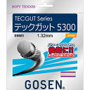 ゴーセン GOSEN テックガット5300 ソフトテニス ガット SS603-NA