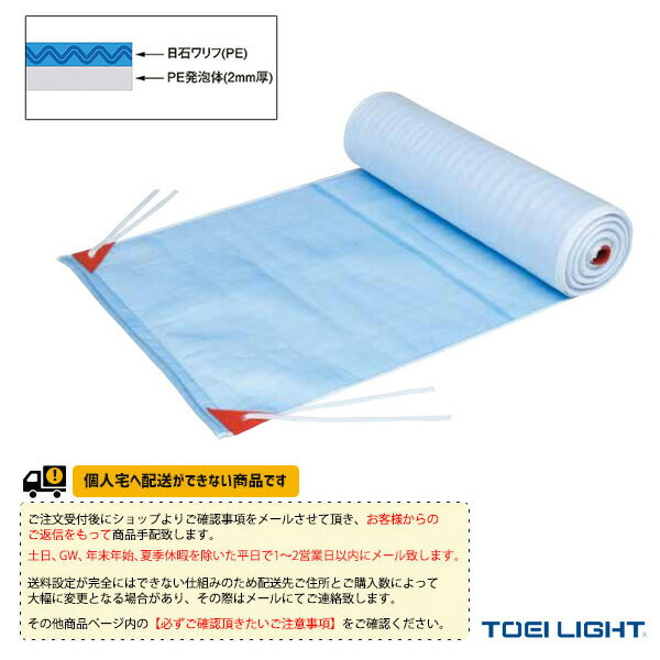 水泳設備・備品 TOEI(トーエイ) [送料別途]プールカバー B-2389