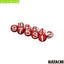 ゲートボールボール ハタチ 2面ボール/10個組(GB301B)
