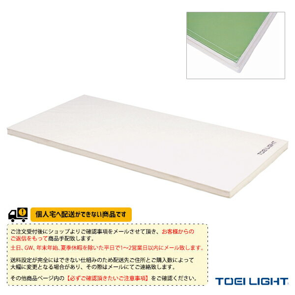 【体育館用品設備・備品 TOEI(トーエイ)】 [送料別途]ソフト軽量マット5cm厚（9号帆布）・すべり止め付／120×240×5cm（T-1796）