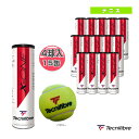 【テニス ボール テクニファイバー】 X-ONE／1箱『4球入×15缶』／PREMIUM BALL（60X1JP4X15）