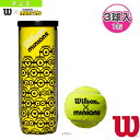 【テニスボール ウィルソン】 MINIONS TENNIS BALLS/ミニオンズ テニスボール/1缶『3球入』(WR8202401001)(4)