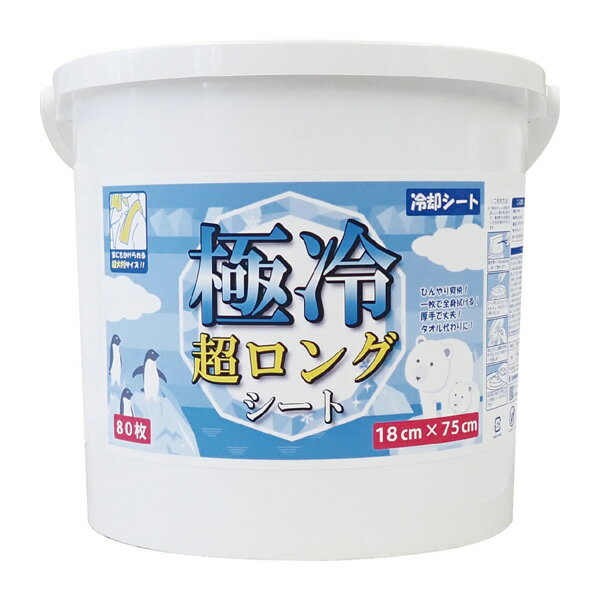 オールスポーツアクセサリ・小物 その他 極冷 超ロングシート 80枚入り ZND80