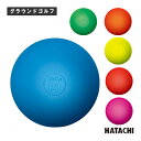 グラウンドゴルフアクセサリ・小物 ハタチ カラーボール BH3001