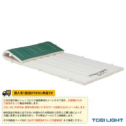 【体育館用品 設備・備品 TOEI(トーエイ)】 [送料別途]5cm厚ノンスリップ指導ライン入りコンビネーションマット 9号帆布／120×600×5cm（T-1334）