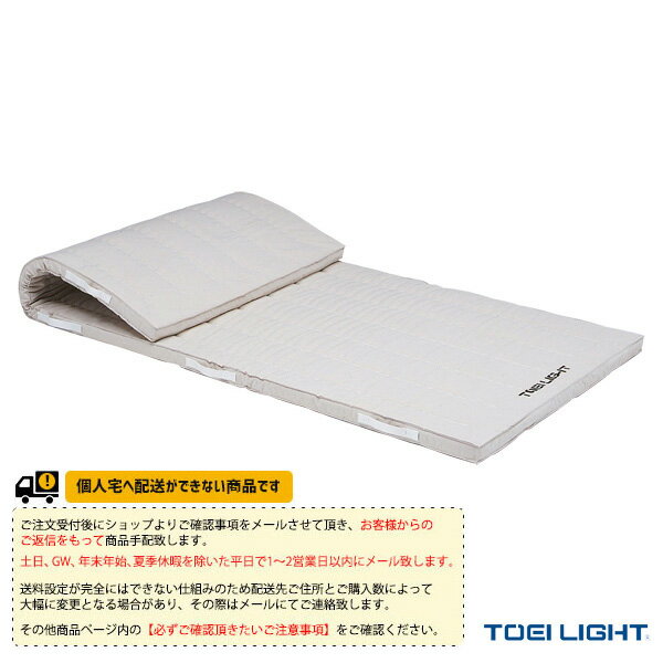 【体育館用品 設備・備品 TOEI(トーエイ)】 [送料別途]5cm厚コンビネーションマット 9号帆布／120×240×..