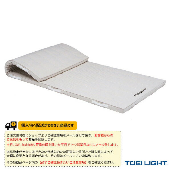 【体育館用品設備・備品 TOEI(トーエイ)】 [送料別途]5cm厚合成スポンジマット 9号帆布／120×600×5cm（T-2704）