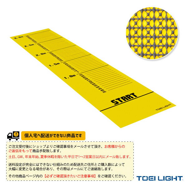 【体力測定 設備・備品 TOEI(トーエイ)】 [送料別途]簡易式ジャンプシート（T-2598）