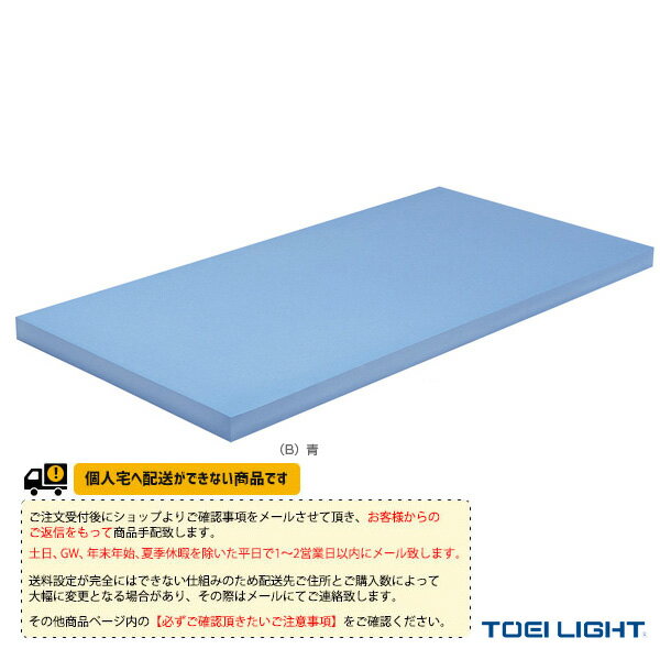 【水泳設備・備品 TOEI(トーエイ)】 [送料別途]ロングビート2000（B-3083）