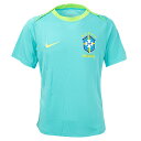 ナイキ 2024 CBF ブラジル代表 アカデミープロ トップ 大人用 サッカー トレーニングシャツ 半袖 NIKE FJ2756-445