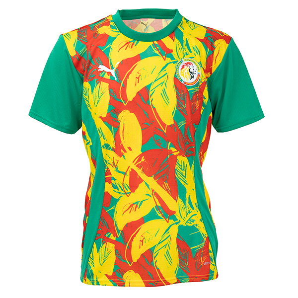 プーマ 2025 セネガル代表 プレマッチシャツ メンズ・レディース サッカー トレーニングシャツ 半袖 puma 777171-04