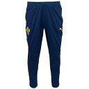 プーマ 2025 FPF ポルトガル代表 TR パンツ メンズ・レディース サッカー トレーニングパンツ puma 779532-13