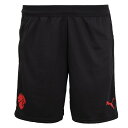 プーマ 25-26 ACM ACミラン トレーニングショーツ Wポケット メンズ・レディース サッカー プラクティスパンツ puma 782370-04