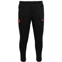 プーマ 25-26 ACM ACミラン トレーニングパンツ Wポケット メンズ・レディース サッカー トレーニングロングパンツ puma 782374-04