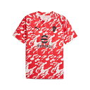 プーマ 25-26 ACM ACミラン プレマッチ SS シャツ メンズ・レディース サッカー トレーニングシャツ 半袖 puma 782388-02