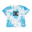 DC SHOES DCシューズ キッズ Tシャツ 半袖 ロゴ 22 KD STAR SS YST222508-BLT