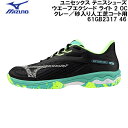 ミズノ MIZUNO テニス シューズ ウエーブ エクシード ライト 2 OC クレー/砂入り人工芝コート用 61GB2317 46