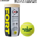 【全品ポイント2倍&最大1500円OFFクーポン】ダンロップ DUNLOP 硬式 プレッシャーライズド テニス ボール DUNLOP FORT ダンロップ フォート 試合球 2個入り DFEYL2DOZ