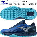 【全品ポイント3倍+最大1000円OFFクーポン】ミズノ MIZUNO メンズ レディース テニス シューズ ウエーブエンフォースコート WIDE OC クレー...
