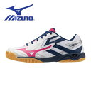【全品ポイント3倍+最大1000円OFFクーポン】ミズノ MIZUNO 卓球 シューズ メンズ レディース WAVE KAISERBURG 8 81GA2420...