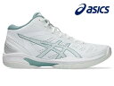 【全品ポイント3倍+最大1000円OFFクーポン】アシックス asics バスケットボール シューズ メンズ レディース GELHOOP V16 1063A07...