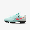 【全品ポイント3倍+最大1000円OFFクーポン】ナイキ NIKE サッカースパイク ジュニア ファントム GX2 アカデミー HG FJ2602 300