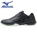 【全品ポイント2倍+5%OFFクーポン】ミズノ MIZUNO バドミントンシューズ メンズ レディース WAVE CLAW EL 2 WIDE 71GA2584...