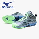【全品ポイント3倍+最大999円OFFクーポン】ミズノ MIZUNO フィットネスシューズ メンズ レディース WAVE DIVERSE LG5 Ltd 31G...