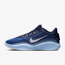 【全品ポイント5倍】ナイキ NIKE メンズ レディス バスケットボール シューズ バッシュ G.T.HUSTLE ACADEMY FJ7808 401