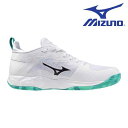 【全品ポイント3倍+最大5%OFFクーポン】ミズノ MIZUNO バスケットボールシューズ メンズ レディース WAVE TRANSISTA W1GA240021