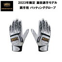 【全品ポイント5倍+選べるクーポン】ゼット ZETT 野球 限定 プロステイタス バッティンググローブ 手袋 両手用 源田選手モデル BG318GA 1319G