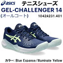 【全品ポイント3倍+対象商品10％OFF】アシックス asics テニスシューズ レディス GEL-CHALLENGER 14 1042A231 401 オールコート