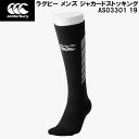 ʥݥ3+700OFFݥۥ󥿥٥꡼ canterbury  饰ӡ å 㥫 ȥå JACQUARD STOCKINGS AS03301 19