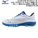 【全品ポイント3倍+5%OFFクーポン】ミズノ MIZUNO テニス シューズ ウエーブ エクシード ライト 2 WIDE OC クレー/砂入り人工芝コート用 3E相当 61GB2318 29