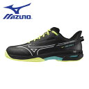 【全品ポイント3倍+最大1000円OFFクーポン】ミズノ MIZUNO テニスシューズ メンズ レディース ウエーブエクシード5 SW OC WAVE EXCE...
