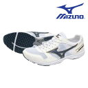 【全品ポイント3倍+最大999円OFFクーポン】ミズノ MIZUNO 陸上 レーシングシューズ メンズ レディース WAVE EMPEROR JAPAN 4 U...