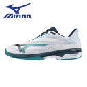 【全品ポイント3倍&最大1500円OFFクーポン】ミズノ MIZUNO テニスシューズ メンズ レディース ウエーブエクシード 6 WIDE AC 61GA25...