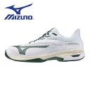 【全品ポイント2倍+最大1500円OFFクーポン】ミズノ MIZUNO テニスシューズ メンズ レディース ウエーブエクシード 6 SW AC 61GA2516...
