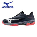 【全品ポイント2倍+最大1500円OFFクーポン】ミズノ MIZUNO テニスシューズ メンズ レディース ウエーブエクシード 6 OC 61GB251205 ...