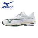 【全品ポイント2倍+最大1500円OFFクーポン】ミズノ MIZUNO テニスシューズ メンズ レディース ウエーブエクシード 6 SW OC 61GB2514...