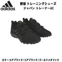 ySi|Cg3{+Ώۏi10OFFzAfB_X adidas 싅 \tg{[ g[jOV[Y Wp g[i[AC AbvV[Y GW1927