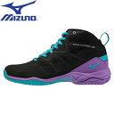 ミズノ MIZUNO フィットネス シューズ ウエーブダイバース WAVE DIVERSE LG 3 Ltd ブラック K1GF2175 09