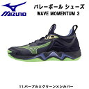 ySi|Cg3{+Ώۏi10OFFz~Ym MIZUNO o[{[ V[Y EG[u [^ 3 WAVE MOMENTUM 3 Y fB[X V1GA2312 11