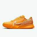 【全品ポイント5倍】ナイキ NIKE レディース ハードコート用 テニスシューズ レディース ズーム ヴェイパー PRO 2 HC DR6192 700