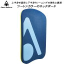 【全品ポイント5倍】アクアスフィア KICK BOARD 174471-NVYL