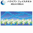 【全品ポイント3倍+最大2000円OFFクーポン】アスカタオル ハワイアンフェイスタオル レイ ASK2APREI-ULI(4)