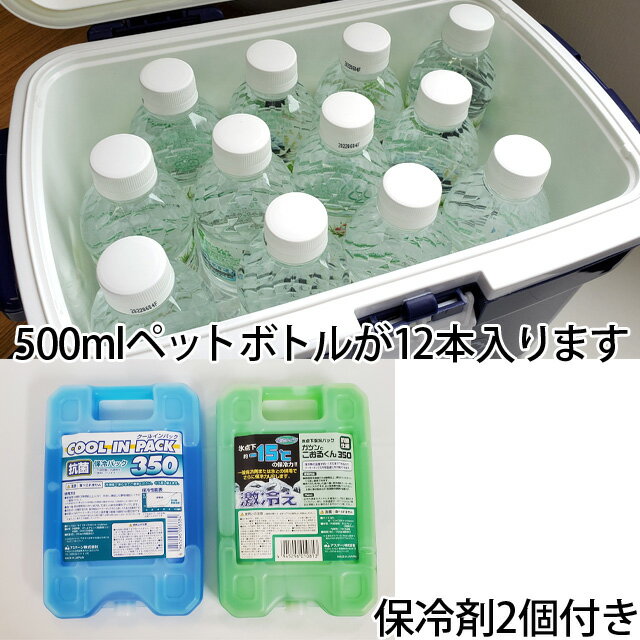 クーラーボックス 久保田スラッガー クーラーバッグ 保冷バッグ 13L 保冷剤350g×2個付 遠征 部活 クーラーBOX アウトドア 保冷 バック チーム WB-10L通販格安セール情報 楽天 通販
