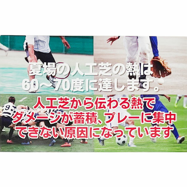 ����/REWARD ��Ǯ����ʡ������� ���å��� �եåȥ��� ��� ���ݡ��� ���塼�����������꡼ ���ߤ� AC-201