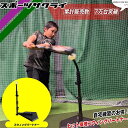 スウィングパートナー フィールドフォース スイング 打撃練習 バッティング練習 宅トレ 自主練 FIELDFORCE 野球 トレーニング スウィング 部活 チー...